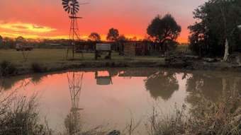 Farm Property for Sale - 53 Cane Farm Road Alberton QLD 4207