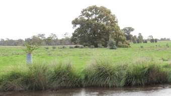 Farm Property for Sale -  Murphys Lane Toolleen VIC 3551