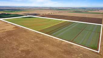 Farm Property for Sale - 365 Rickert Road Nobby QLD 4360