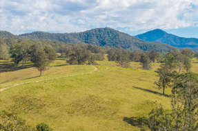 LOT 1 of 4 Hickeys Creek Road Millbank NSW 2440