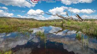 Farm Property for Sale - 1986 Torrington Road Stannum NSW 2371