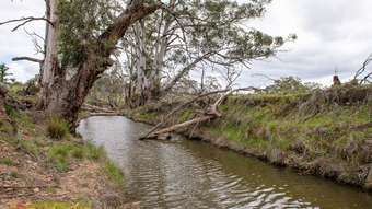Farm Property for Sale -  Lot 73 Campbells Creek Road Mudgee NSW 2850