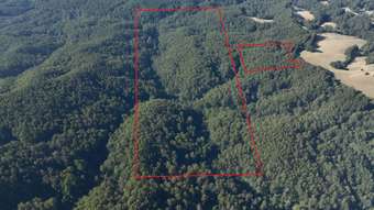 Farm Property for Sale - 3550 Colac Lavers Hill Road, Ferguson VIC 3237