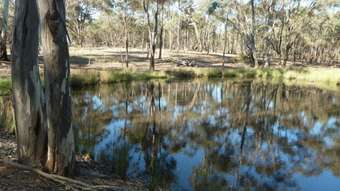 Farm Property for Sale - Lot 14 Wheelhouse Road Wehla VIC 3518