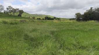 Farm Property for Sale - 145 Hetheringtons Road Dallarnil QLD 4621