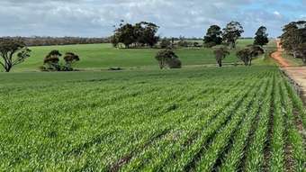 Farm Property for Sale - . West&amp;apos;s Borden WA 6338