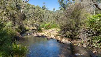 Farm Property for Sale - 80 Oakey Forest Road Marrangaroo NSW 2790