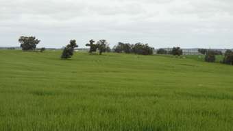 Farm Property for Sale - Eagle&amp; Nest #1, Wangeling Gully Road Williams WA 6391