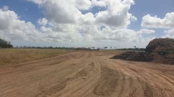 Farm Property for Sale - 41 Von Deest Street Kensington QLD 4670