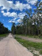 Farm Property for Sale - Lot 3 of 1 Ravenswood Rd Kundabung NSW 2441