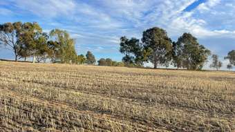 Farm Property for Sale - 509 Rifle Range Road Dowerin WA 6461
