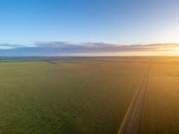 Farm Property for Sale - Charlie's 2233 Fourteen Mile Road Mallee Hill WA 6353