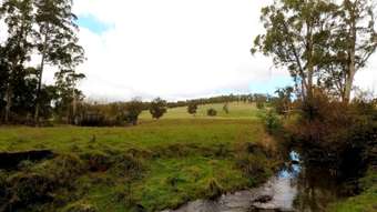 Farm Property for Sale - 160 Powers Road Callignee North VIC 3844