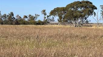 Farm Property for Sale - . Lot 226 Mulji Road Koorda WA 6475