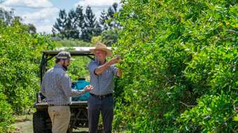 Farm Property for Sale - 39 Priddy Road Kia Ora QLD 4570