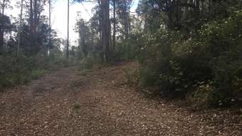 Farm Property for Sale - 82 Mount Street Dundurrabin Dorrigo NSW 2453