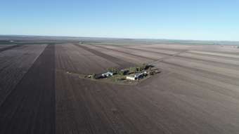 Farm Property for Sale - Norwin QLD 4356