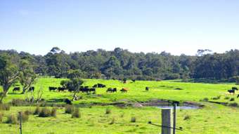 Farm Property for Sale - 10 Walter Pierce Road Hazelvale WA 6333