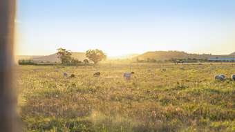 Farm Property for Sale - 348 Allen Road East Greenmount QLD 4359