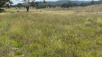 Farm Property for Sale - 2625 Pierce Road Emu Creek QLD 4355