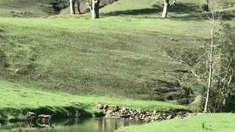 Farm Property for Sale - 200 Coxs Creek Road, Wallaringa via Dungog NSW 2420