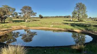 Farm Property for Sale - 72 Bourkes and Halls road Binnaway NSW 2395