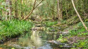 Farm Property for Sale - Craven NSW 2422