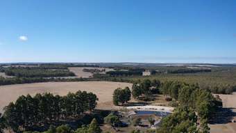 Farm Property for Sale - 241 Pindicup Road Mordalup WA 6258