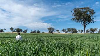 Farm Property for Sale - 6119 Burrendong Way Stuart Town NSW 2820