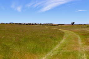 31C BRIDGE ROAD Grenville VIC 3352