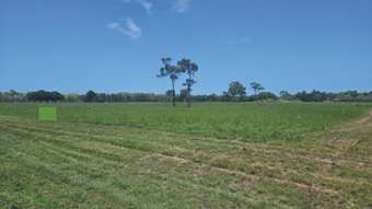 Farm Property for Sale -  Balgal Beach Road Balgal Beach QLD 4816