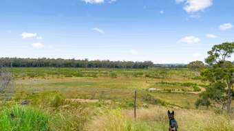 Farm Property for Sale - Cobbora NSW 2844