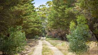 Farm Property for Sale - 683 Bacchus Marsh - Balliang Road Staughton Vale VIC 3340