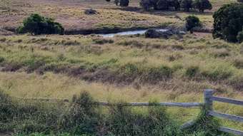 Farm Property for Sale - 38 Kawl Kawl Road Keysland QLD 4612