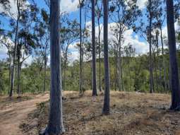 931 Nearum Rd Nearum QLD 4671