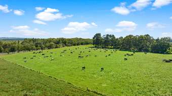 Farm Property for Sale - 15 Pound Creek Road Inverloch VIC 3996