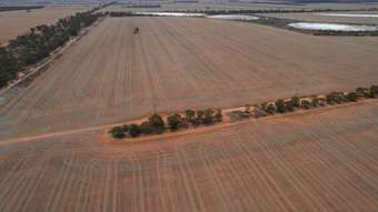 Farm Property for Sale - Bullfinch Moorine Rock Aggregation South Yilgarn WA 6426