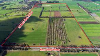 Farm Property for Sale - 134 Morris Road Yielima VIC 3638
