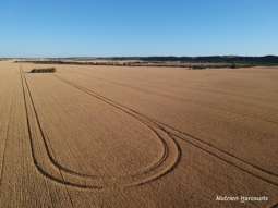 Farm Property for Sale - Lot 1834 Brand Highway Greenough WA 6532