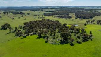 Farm Property for Sale - Part of 99 Dog Rocks Road Black Springs NSW 2787
