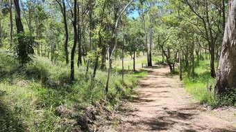 Farm Property for Sale - Lot 73 Majors Creek Road Mount Perry QLD 4671