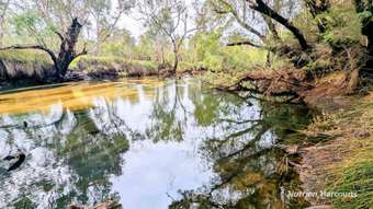 Farm Property for Sale - Lot 1389 Orange Springs Road, Orange Springs WA 6503