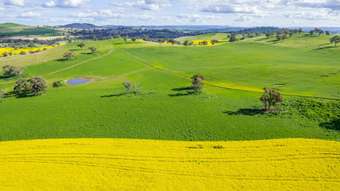 Farm Property for Sale - 490 Reg Hailstone Way Woodstock NSW 2793