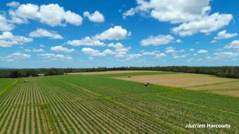 Farm Property for Sale - 3392 Childers Road Gregory River QLD 4660