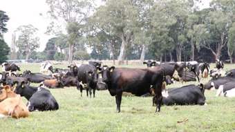 Farm Property for Sale - 180 McLachlan Road Heyfield VIC 3858