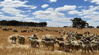 Farm Property for Sale - Munjaducki Caroling Bally-Bally Road Morbinning WA 6304