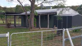 Farm Property for Sale - 184 Wonbah Road Wonbah QLD 4671