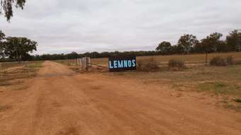 Farm Property for Sale - 981 North Forbes Rd Condobolin NSW 2877