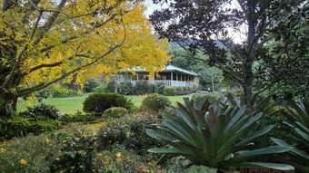 Farm Property for Sale - 1462 Running Creek Road Running Creek QLD 4287