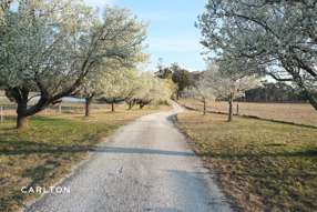 Farm Property for Sale - 164 Joadja Road Mandemar NSW 2575